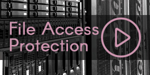 Project Bank File Access Protection